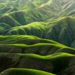 Salmernes bog: At bede med og til Kristus, del 2 (5/5)