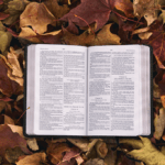 En sand og troværdig bibel – men også ufejlbarlig?