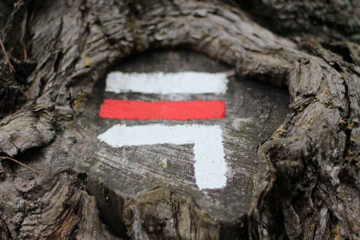 Read more about the article 8 pejlemærker til at forstå Bibelen