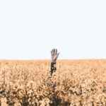 Livet med Faderen, Sønnen og Helligånden