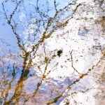 Hvor finder man lykken?