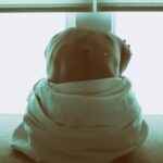 Jesus i møde med seksuelle syndere